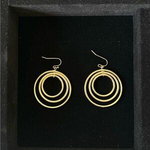 Elegant Gold Hoop Earrings